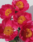 Pink Peony Silk Bath Bomb