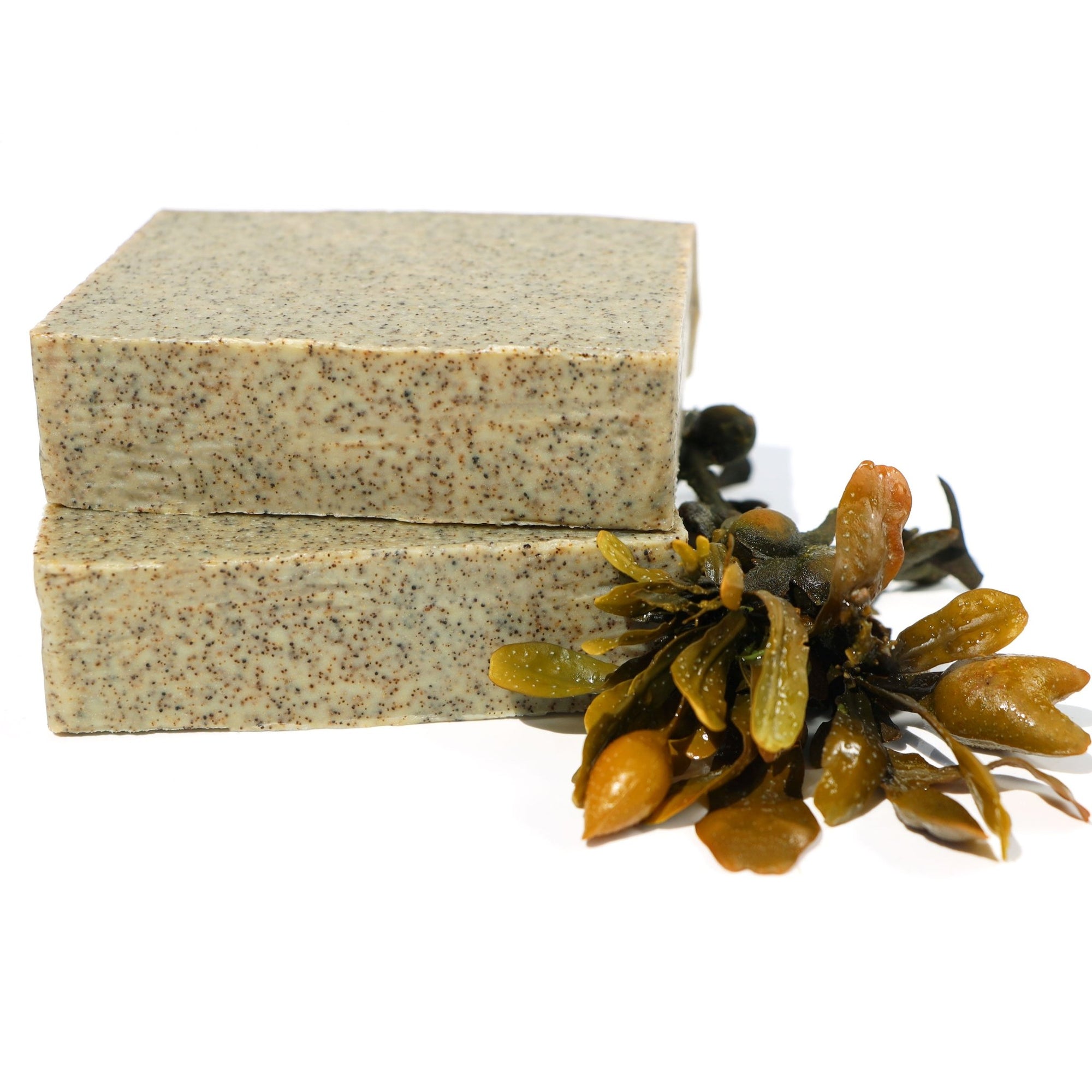 Seaweed Soap Made With Glacial Green Clay, Silk & Crushed Seaweed - Koka Beauty